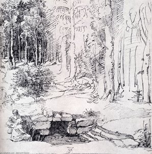 Skovglæde Med En Murstensfontæne Hvor To Mænd Sidder — Albrecht Dürer