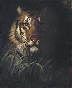 Tiger's Head — Abbott Handerson Thayer