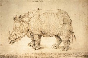 Tarvasbúgó — Albrecht Dürer