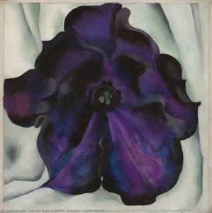 Untitled (petunia Viola) — Georgia O'keeffe