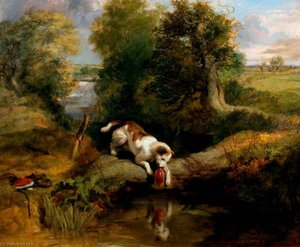 The Dog And The Shadow — Sir Edwin Henry Landseer