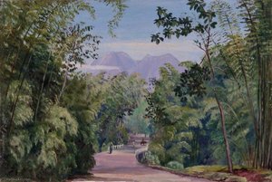 Blisko Malang, Jawa — Marianne North