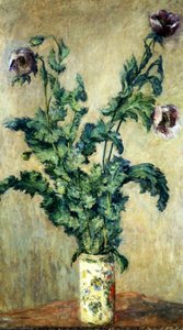 Rose Piume — Claude Monet