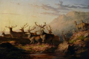 Stags On The Highlands — James Giles