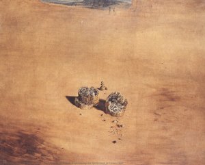 To To Skiver Brød, Uttrykkende Kjærlighetens Stemning, 1940 — Salvador Dalí