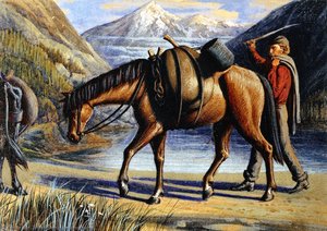Pack Horse, Athabaska River, Rocky Mountains — William George Richardson Hind