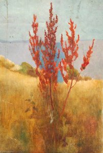 Red Sapling By The Sea — Benjamin Haughton