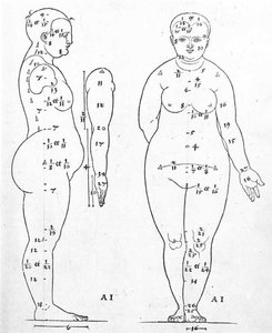 Vue Latérale Et Frontale De La Tête Féminine — Albrecht Dürer
