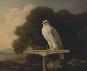 Greenland Falcon — George Stubbs