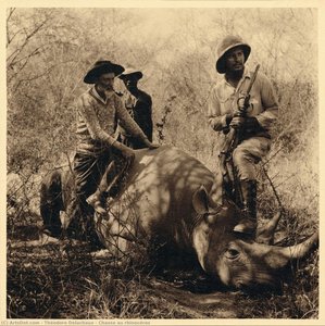 Chasse Au Rhinocéros — Teodor Delako
