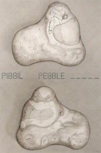 Pibbil Pebble — Dave Morris