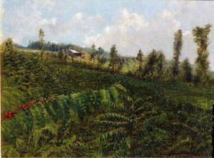 Untitled (aqzbmc) — David Howard Hitchcock