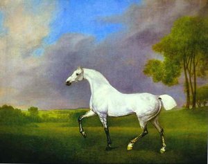 A Grey Horse — George Stubbs