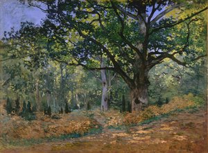 Bodmérin Koivu — Claude Monet