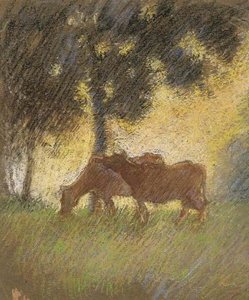 Cows Taking Shade