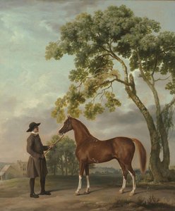 Lord Grosvenor — George Stubbs