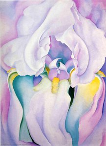 Valgus Iris — Georgia O’keeffe