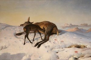 Untitled — Сайед Едвін Ленсір