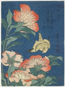Peoner Og Kanari — Hokusai
