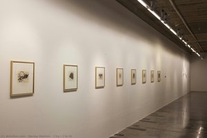 City - I To Ix — Zarina Hashmi