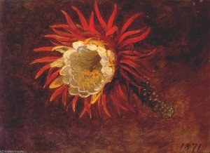 Study Of A Yellow Flower — Martin Johnson Heade