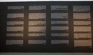 Exhibition Scene — Zhu Wei
