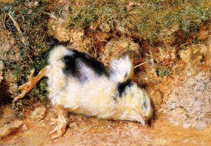 John Ruskin's Dead Chick — William Holman Hunt