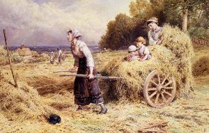 Haytime