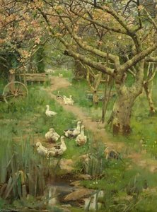 frank richards