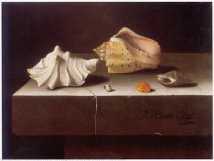 Two Large And Three Small Shells On A Slab Of Stone — After Adriaen Coorte