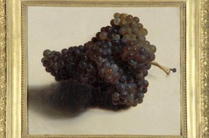 Raisins Noirs — Louis Léopold Boilly