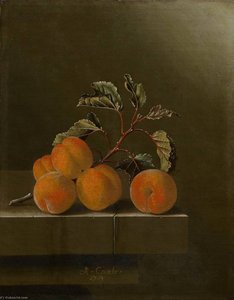 English Still Life With Five Apricots — After Adriaen Coorte