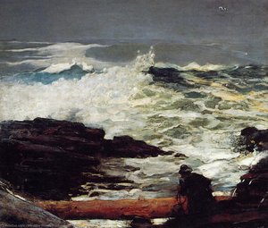 Driftwood — Winslow Homer