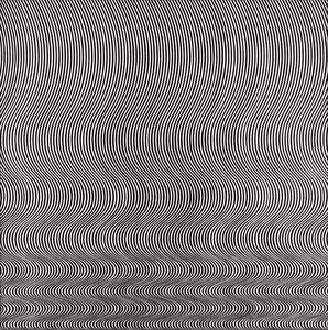 Fall — Bridget Riley