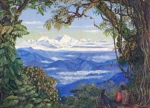 Monte Kanchenjunga Da Darjeeling, Bengala Occidentale, India — Marianne North