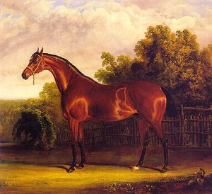 Negotiator The Bay Horse In A Landscape — John Frederick Herring Senior