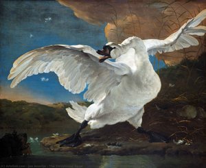 The Threatened Swan — ヤン・アッセリン