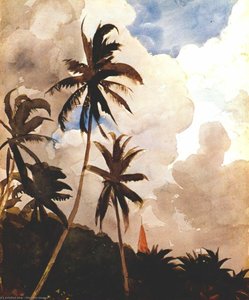 Palmupuut (bahama) — Winslow Homer