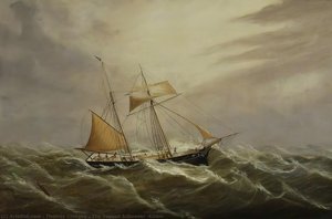 The Topsail Schooner 'kelso' — Thomas Chidgey