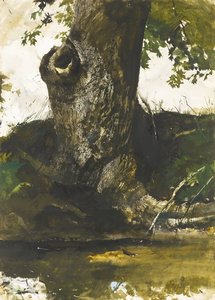 Along The Tail Race — Andrew Newell Wyeth