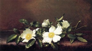 Cherokee Roses On A Purple Velvet Cloth — Martin Johnson Heade