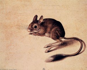 Gerbil — Jakop Ligozzi