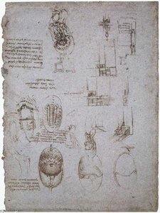 Studien Von Villa Melzi Und Anatomische Studie — Leonardo Da Vinci