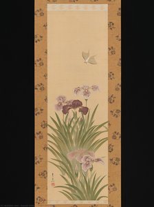 Irises And Moth — Suzuki Kiitsu