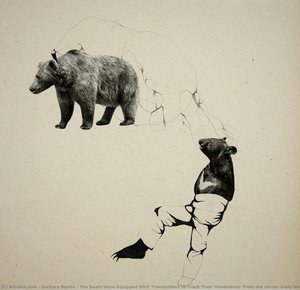 The Bears Were Equipped With Transmitters To Track Their Movements, From The Series: Daily News — Barbara Bańda