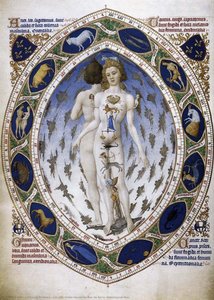 Les Très Riches Heures Du Duc De Berry: Astrological Man — Limbourg-brødrene