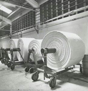 Webuye Pan African Paper Mill — Mohamed Amin