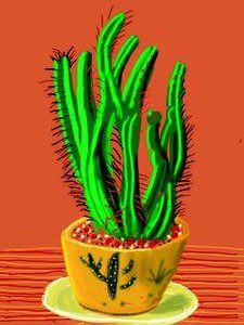 Cactus — David Hockney