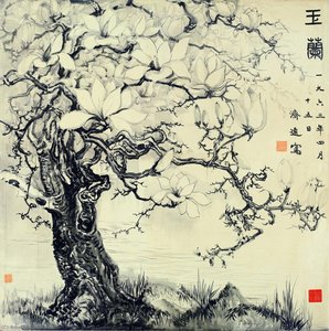 Magnolia Puu — Owner Of Liao Dong Ge