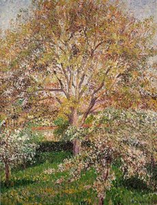 Walnuss- Und Apfelbäume In Blüte, Eragny — Camille Pissarro